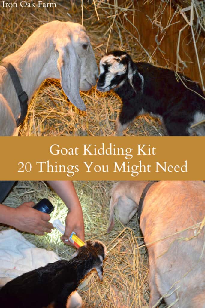 Essential Items for Your Goats' Kidding Kit