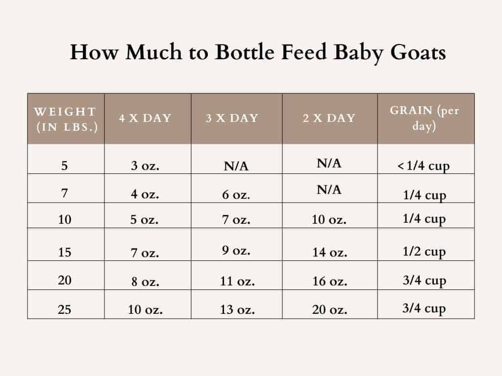Chart How Much to Feed Baby Goats