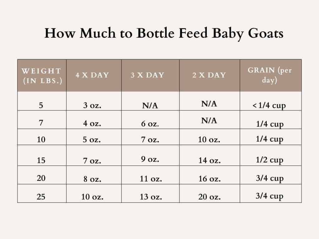 Goat Bottle Feeding Chart | Portal.posgradount.edu.pe