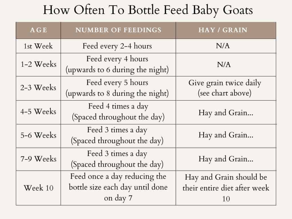 Bottle Feeding Baby Schedule